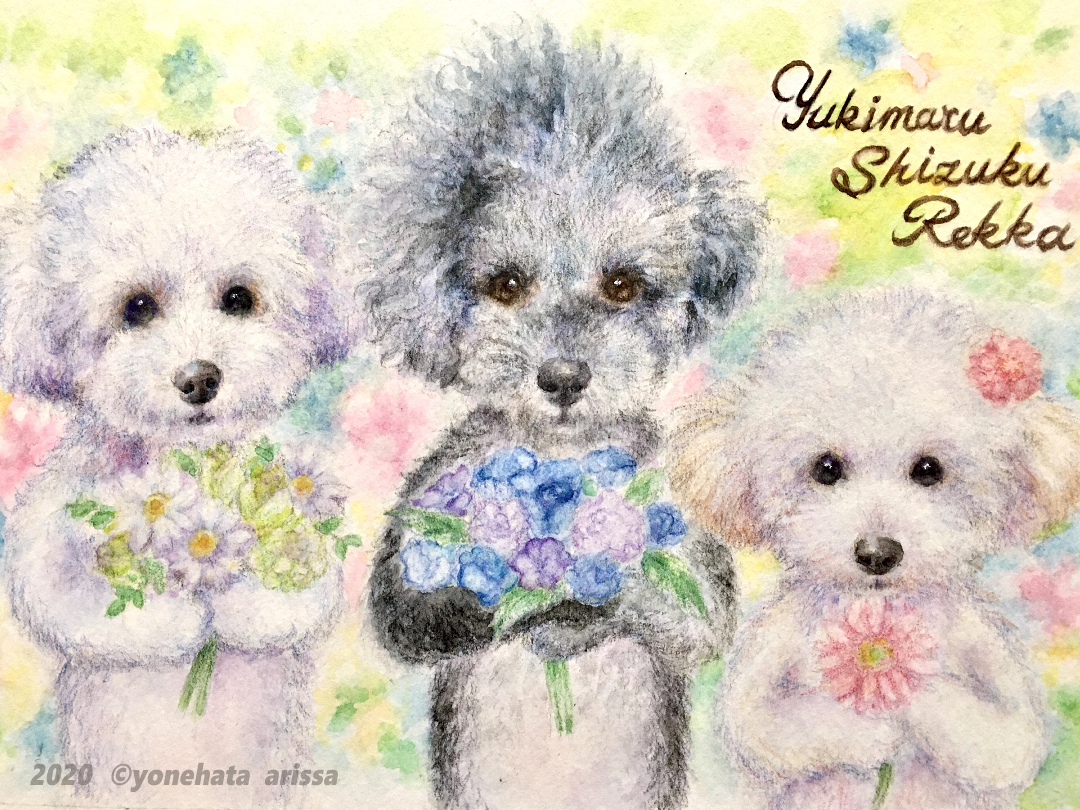 イラストのご依頼をいただきました よねあり Com