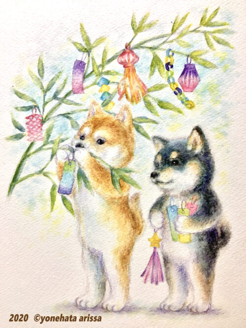 メイキング 七夕の柴犬 を描きました よねあり Com