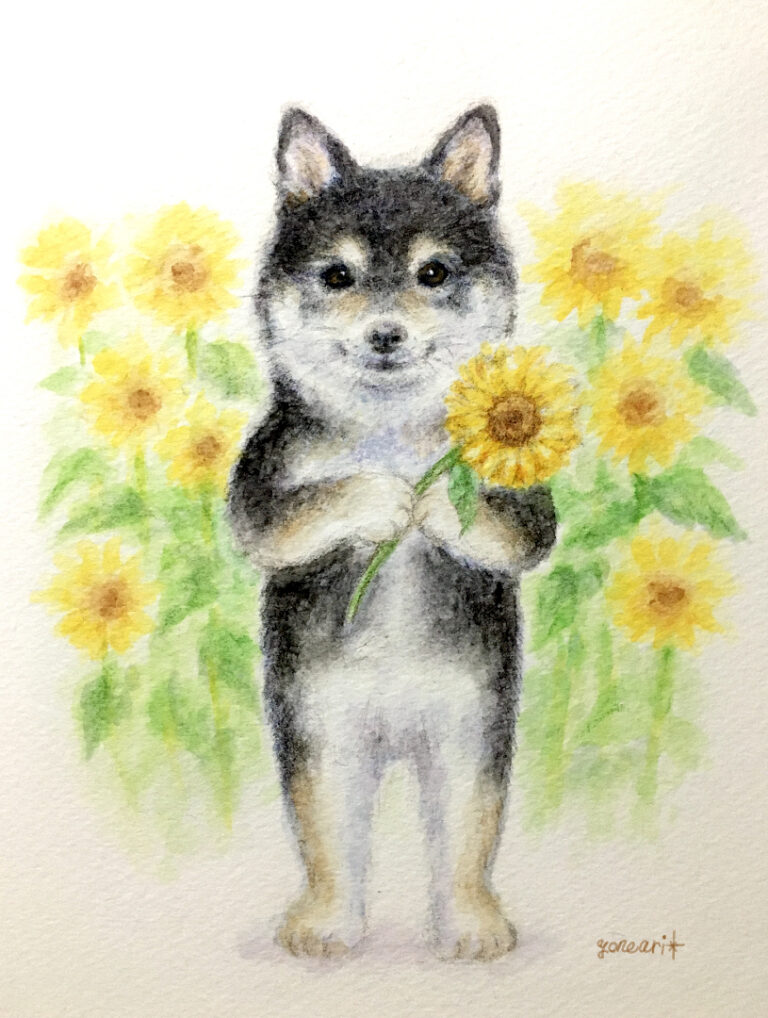 メイキング 黒柴と向日葵 を描きました よねあり Com